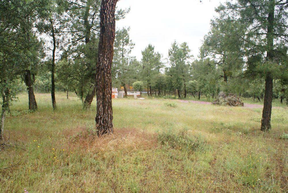  en venta terreno Marugán Campiña Segoviana 11