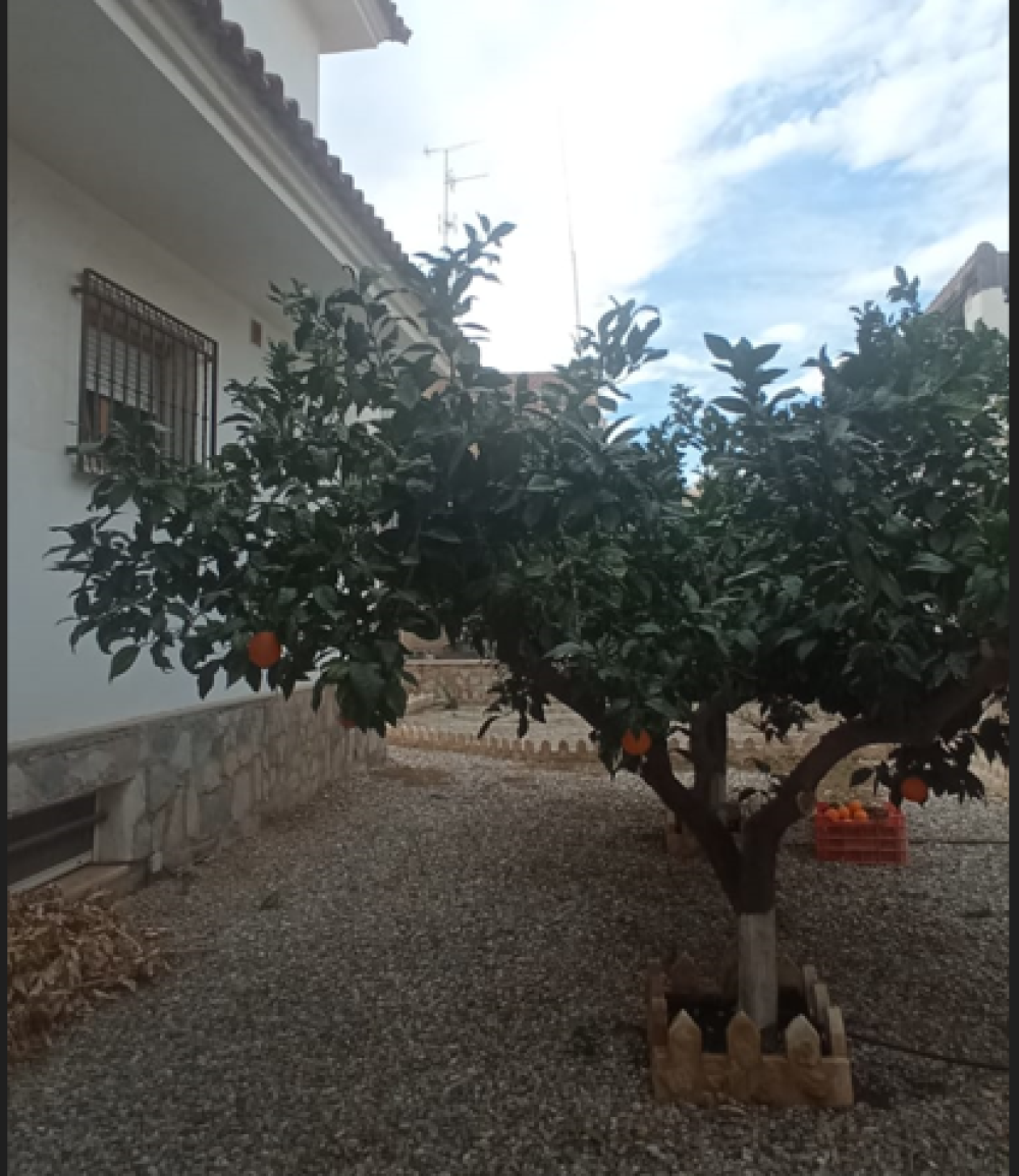  en venta chalet Calabardina Alto Guadalentín 22
