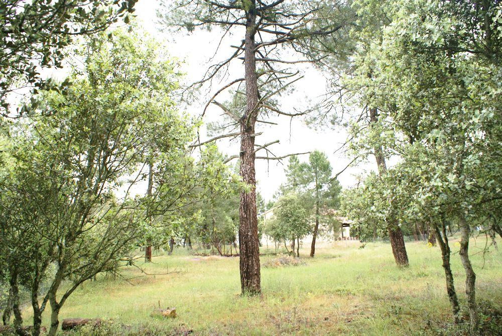  en venta terreno Marugán Campiña Segoviana 9