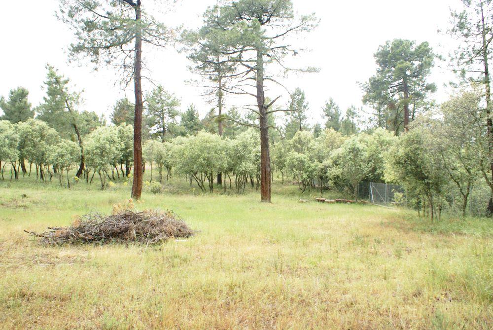  en venta terreno Marugán Campiña Segoviana 12