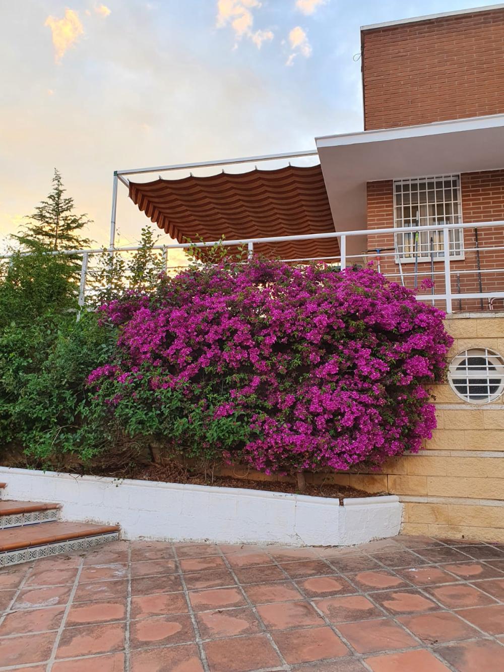  en venta finca rústica Alcolea Córdoba 5