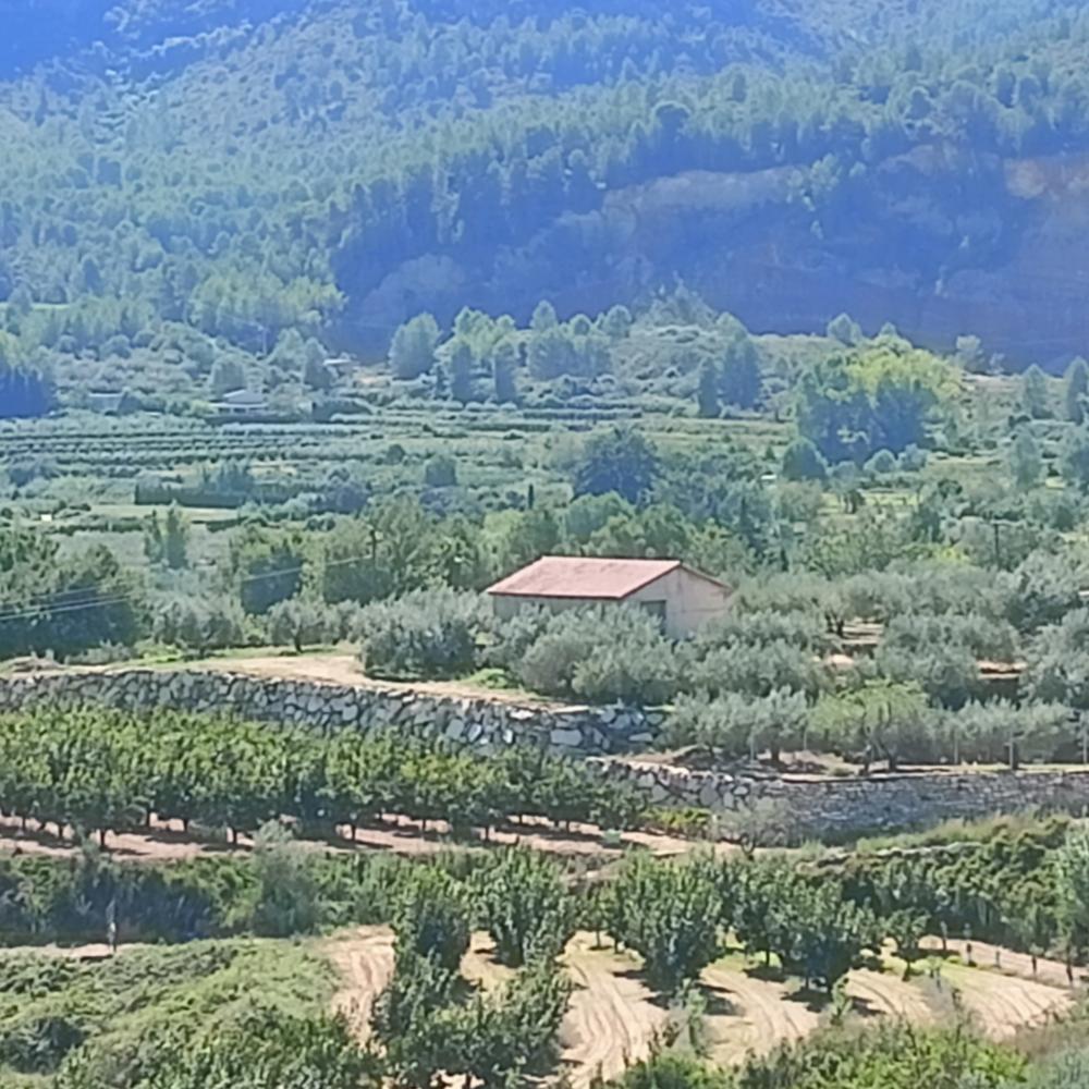  en venta casa Rugat Vall D'albaida 1