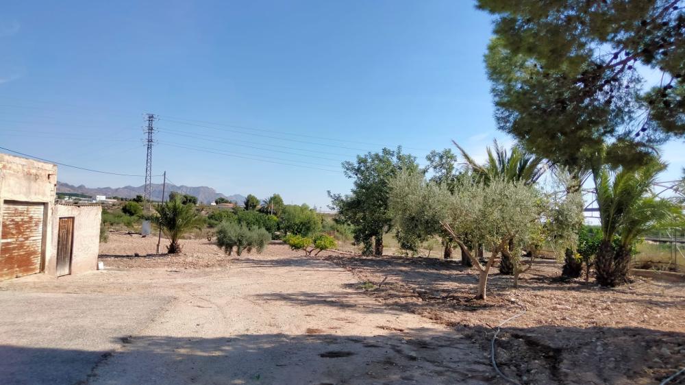  en venta finca rústica La Murada Baix Segura 18