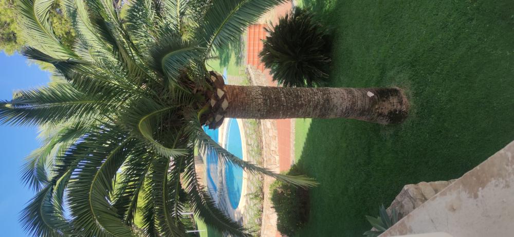 en venta apartamento Montañar Marina Alta 15