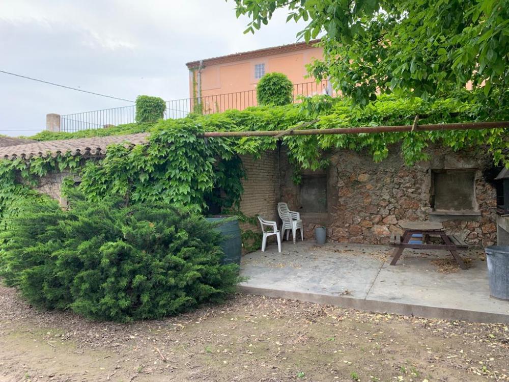  en venta finca rústica Miravet Ribera D'ebre 4