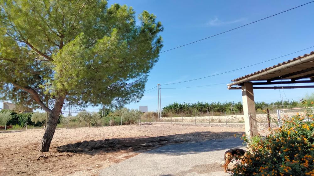  en venta finca rústica La Murada Baix Segura 1