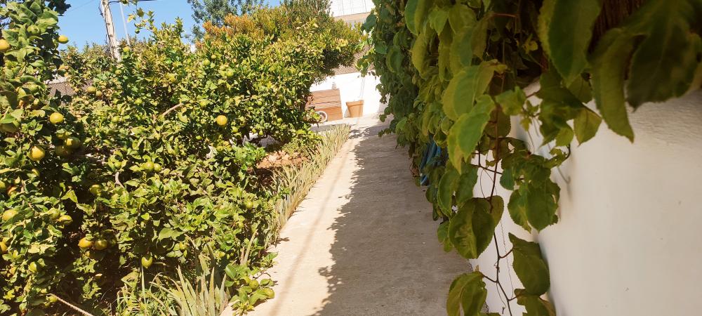  en venta casa Sant Jordi De Ses Salines Sant Josep De Sa Talaia 18