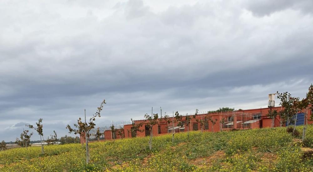  en venta finca rústica Rociana Del Condado Condado (El) 2