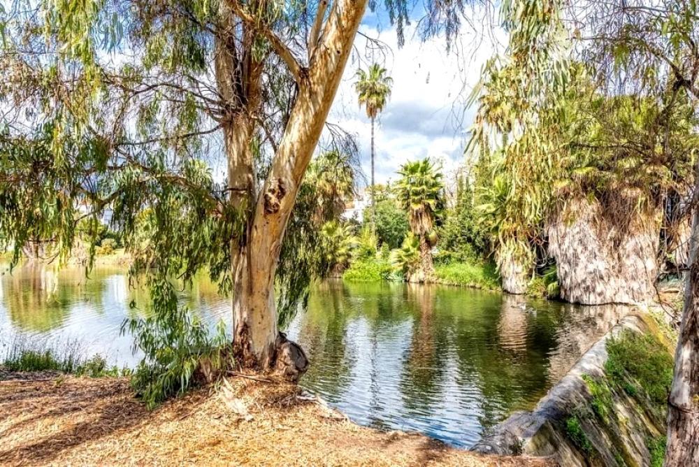  en venta apartamento Nueva Andalucía Costa Del Sol Occidental 21