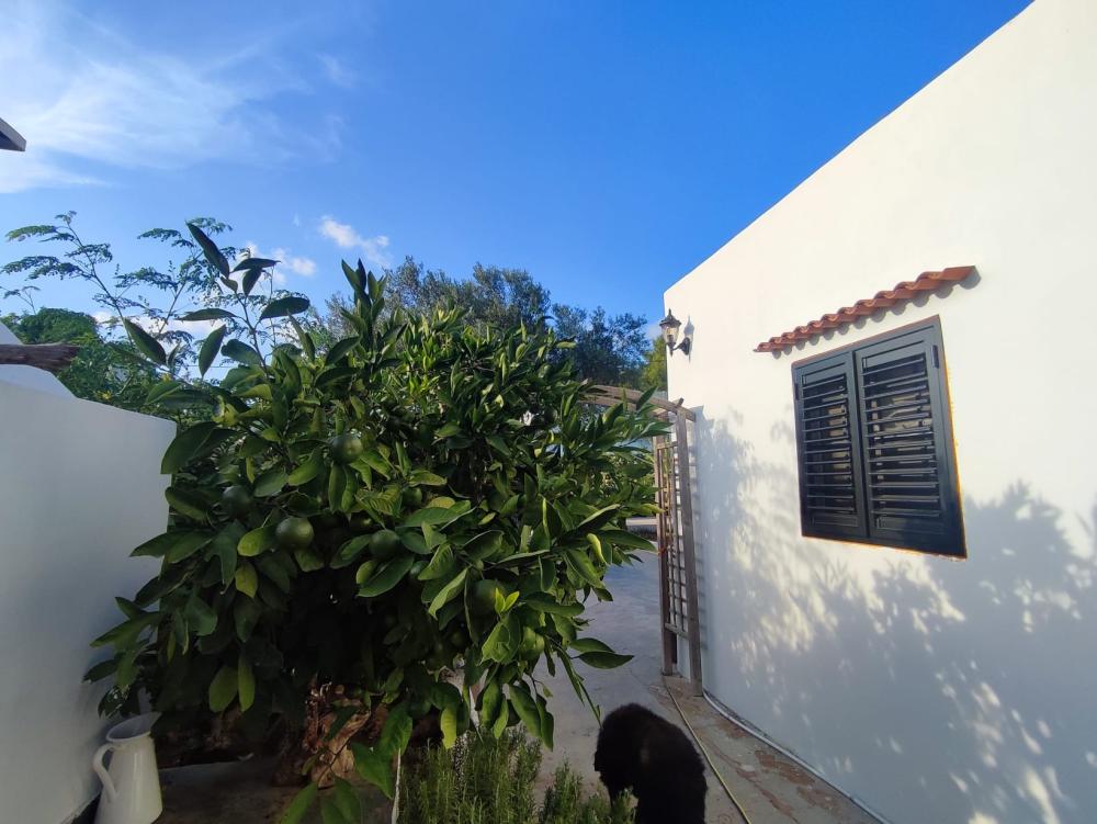  en venta casa Sant Jordi De Ses Salines Sant Josep De Sa Talaia 5