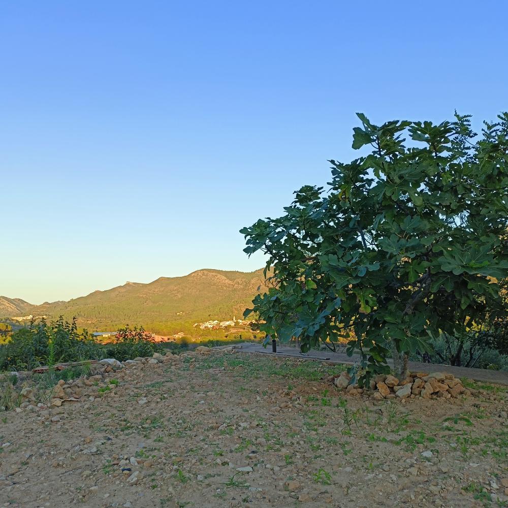  en venta casa Rugat Vall D'albaida 4
