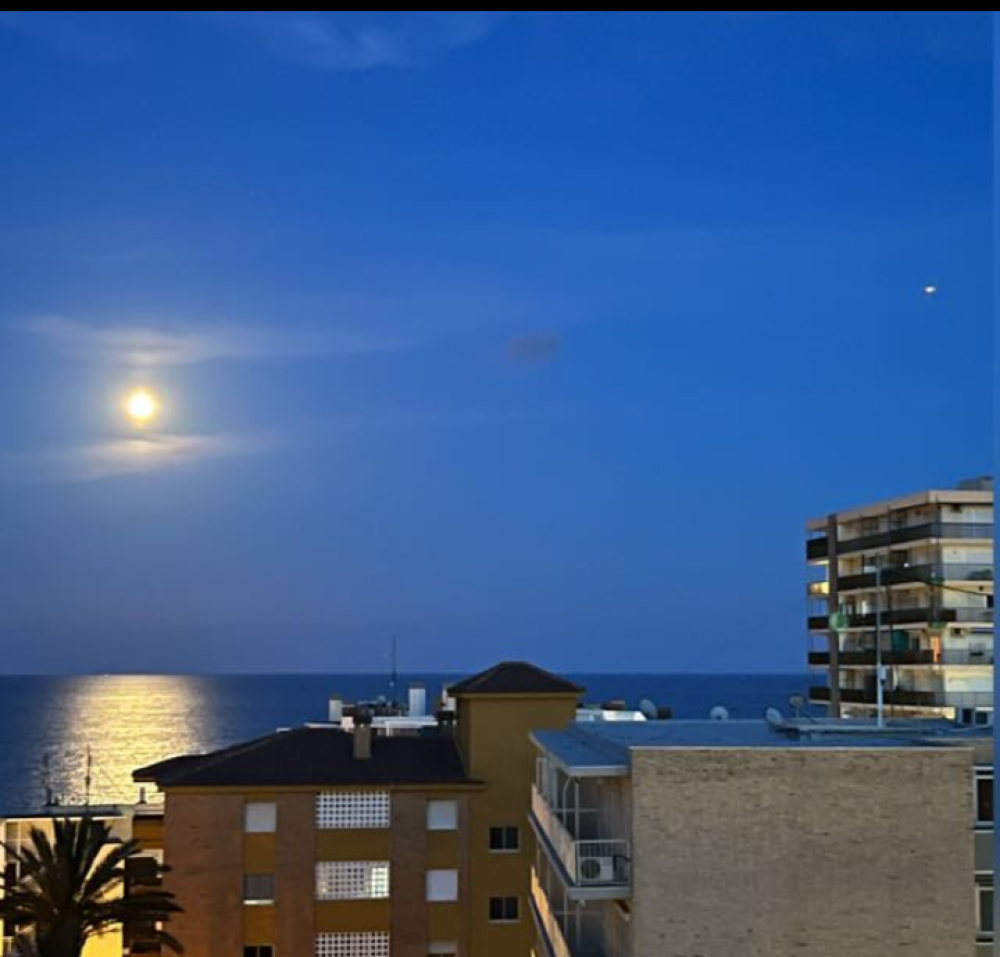  en venta apartamento El Campello Alacantí 4