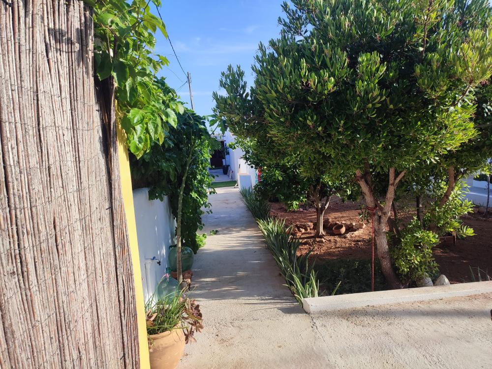  en venta casa Sant Jordi De Ses Salines Sant Josep De Sa Talaia 10