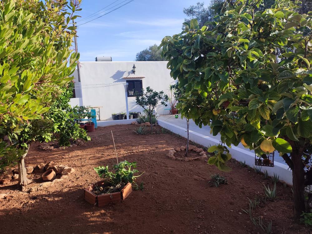  en venta casa Sant Jordi De Ses Salines Sant Josep De Sa Talaia 11