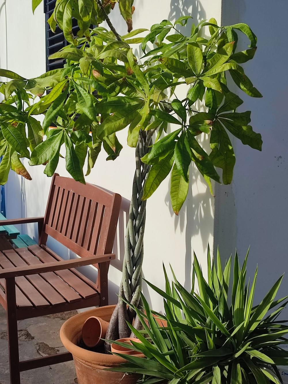  en venta casa Sant Jordi De Ses Salines Sant Josep De Sa Talaia 8