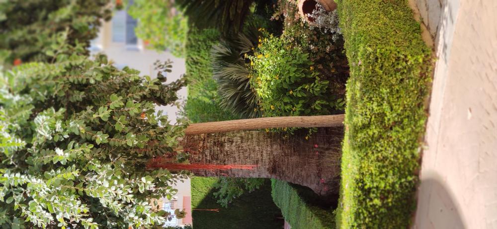  en venta apartamento Montañar Marina Alta 16