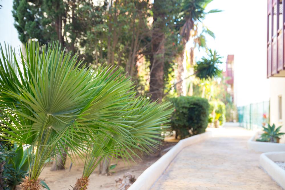  en venta apartamento La Duquesa Costa Del Sol Occidental 48