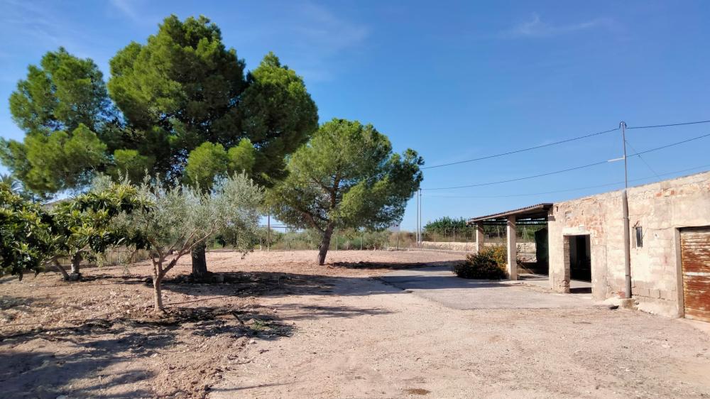  en venta finca rústica La Murada Baix Segura 5