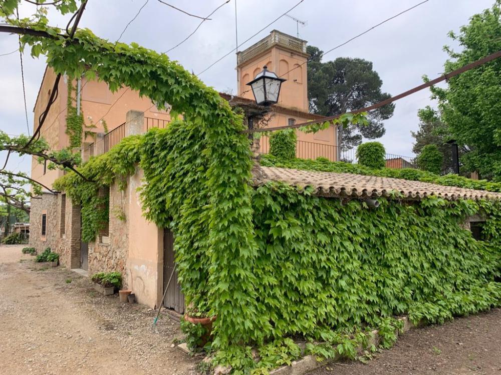  en venta finca rústica Miravet Ribera D'ebre 3