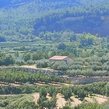 Rugat Vall D''albaida casa foto 5499344
