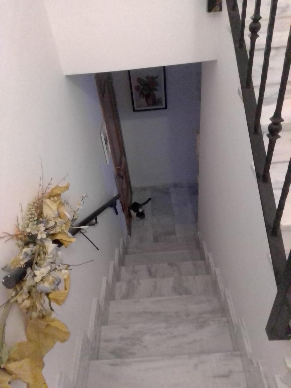  en venta ático Pozuelo De Calatrava Campo De Calatrava 7