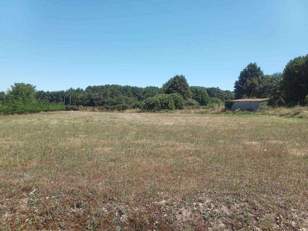  en venta finca rústica Guntimil Limia 16