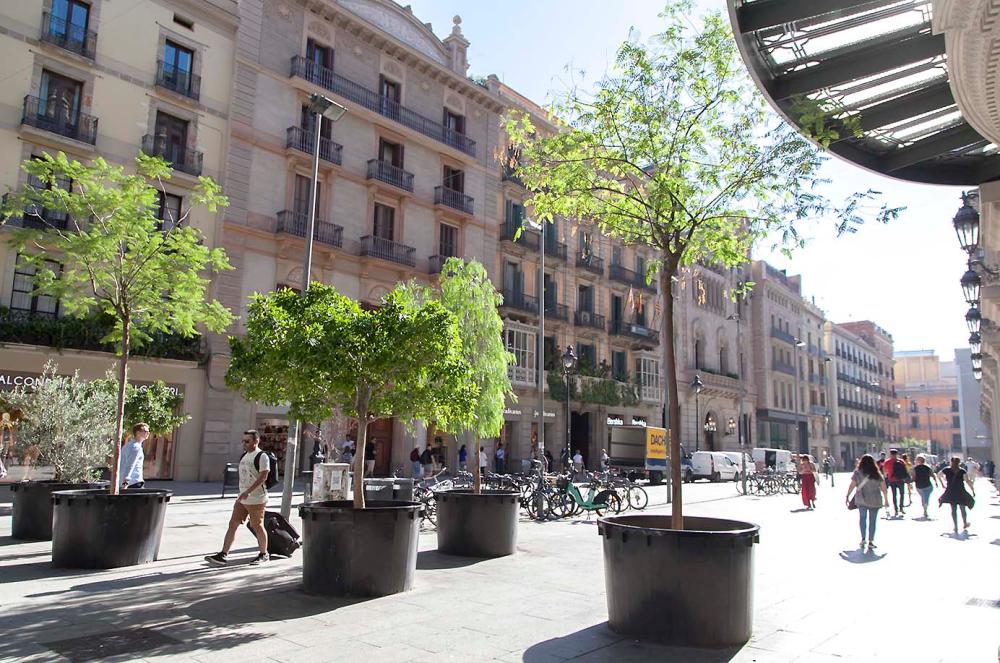  en venta apartamento Ciutat Vella-Raval Barcelonès 30