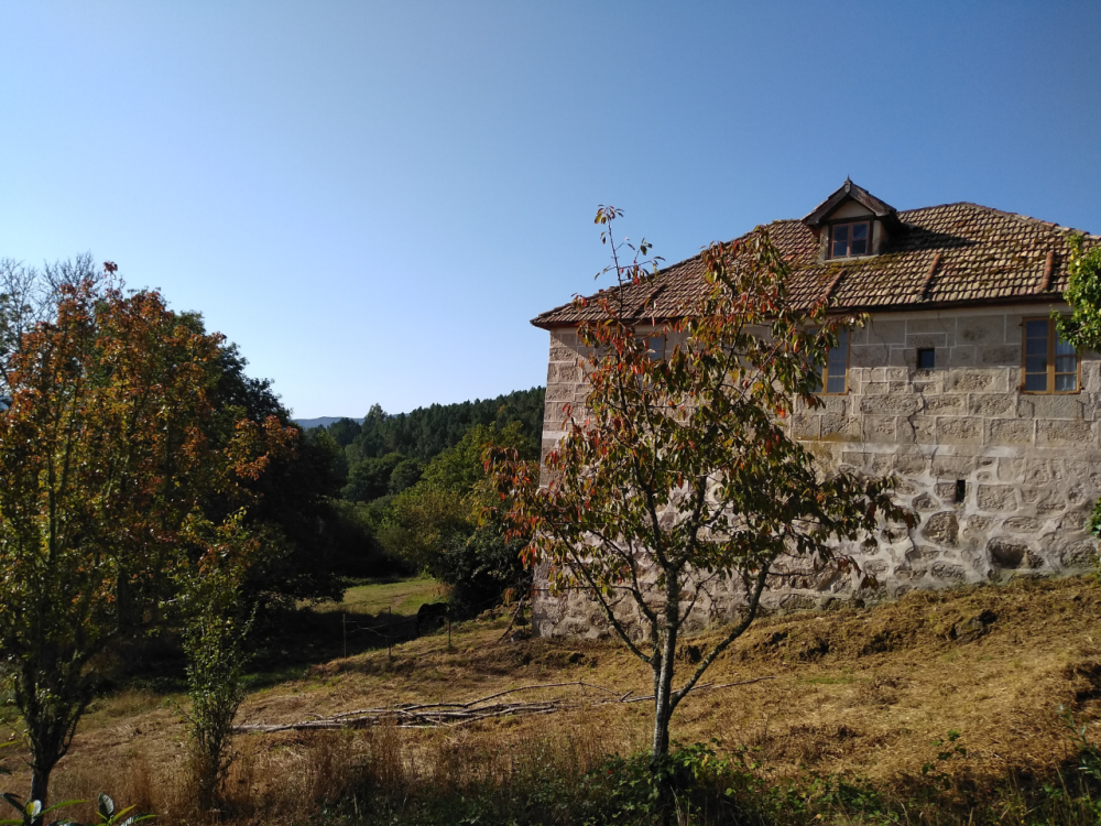  en venta casa Santa Maria Madre Terra Da Celanova 4