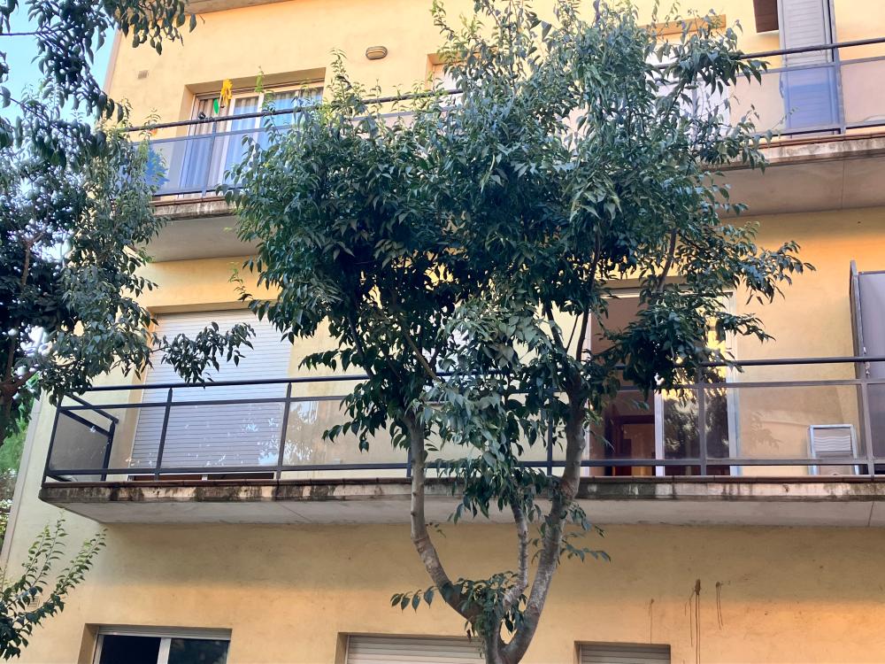  en venta apartamento Palafrugell Baix Empordà 2