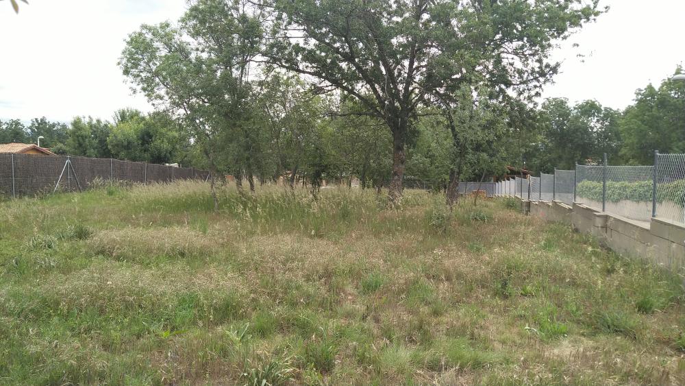  en venta terreno Villavieja Del Lozoya Sierra Norte 4
