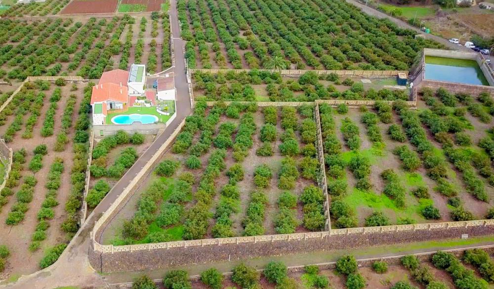  en venta finca rústica El Socorro Zona Metropolitana 8