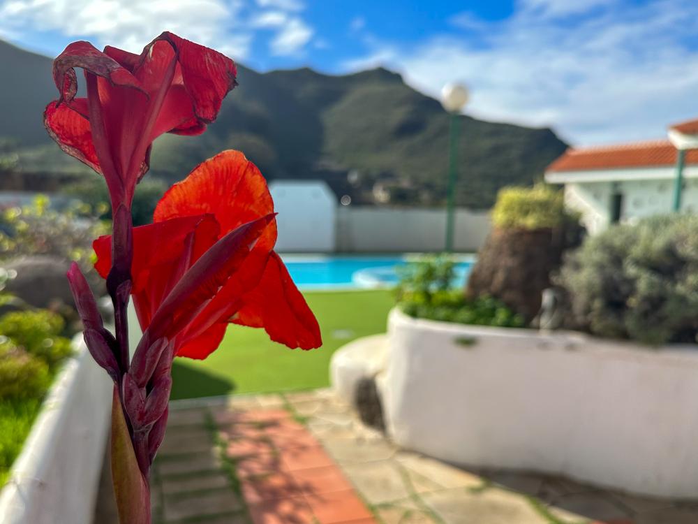  en venta finca rústica El Socorro Zona Metropolitana 24