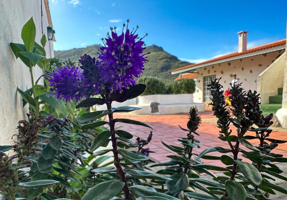  en venta finca rústica El Socorro Zona Metropolitana 22