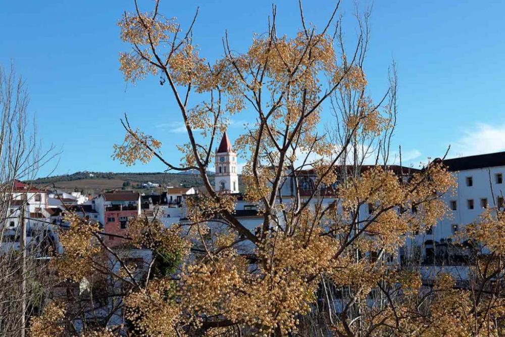  en venta chalet Arriate Serranía De Ronda 50