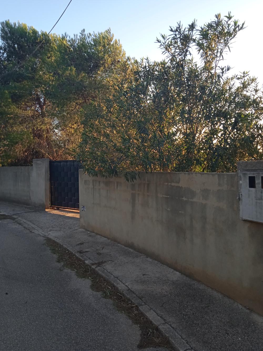  en venta terreno Alberic Ribera Alta 5