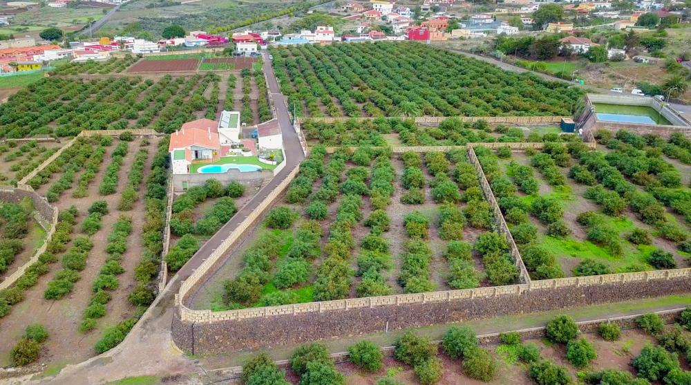  en venta finca rústica El Socorro Zona Metropolitana 4