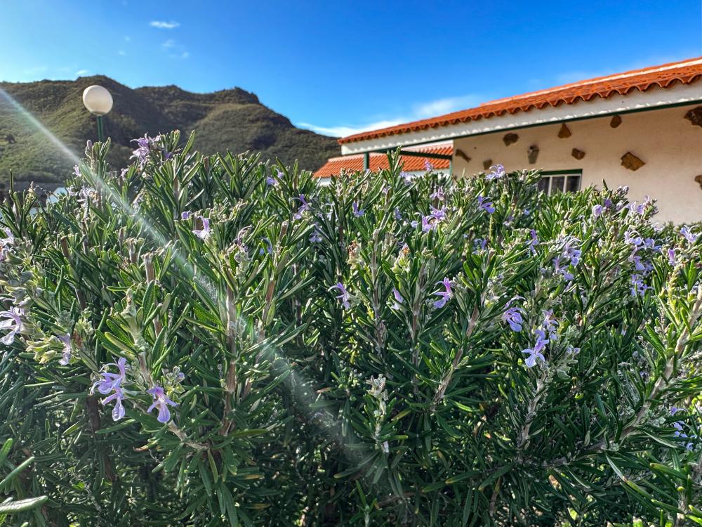  en venta finca rústica El Socorro Zona Metropolitana 21