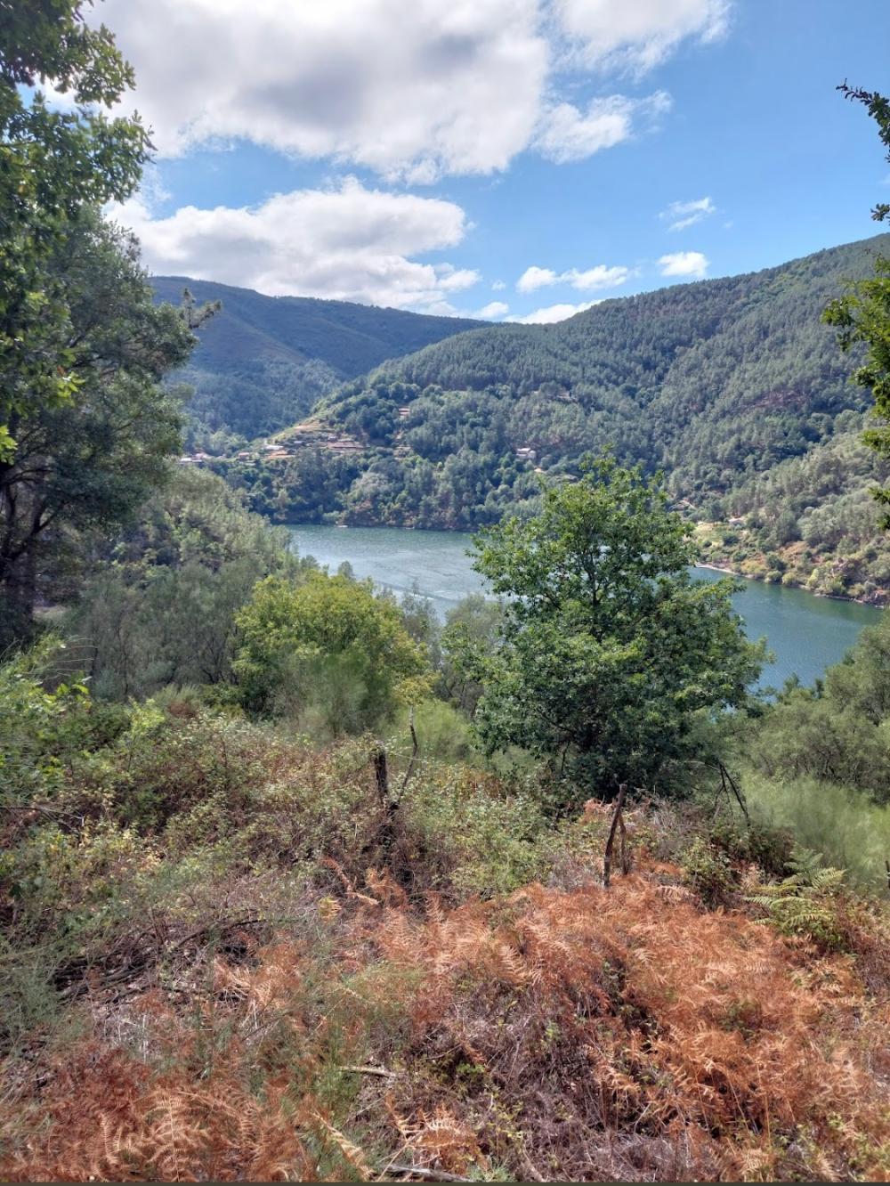  en venta casa Serode Tierra De Lemos 8