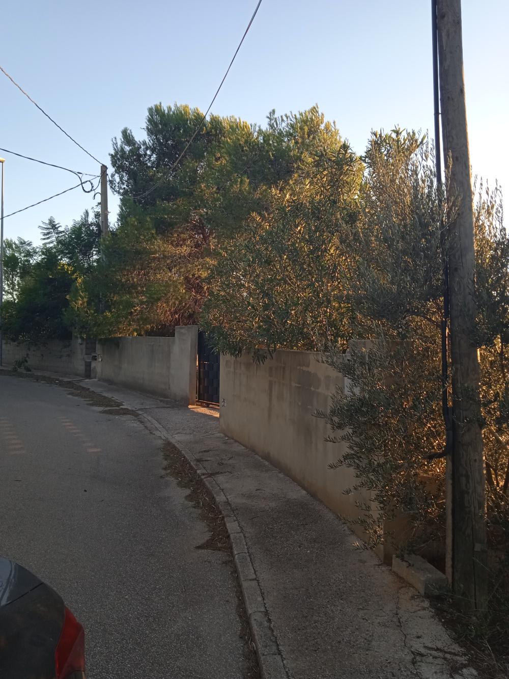  en venta terreno Alberic Ribera Alta 2