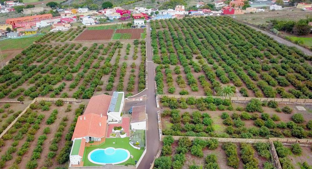  en venta finca rústica El Socorro Zona Metropolitana 6
