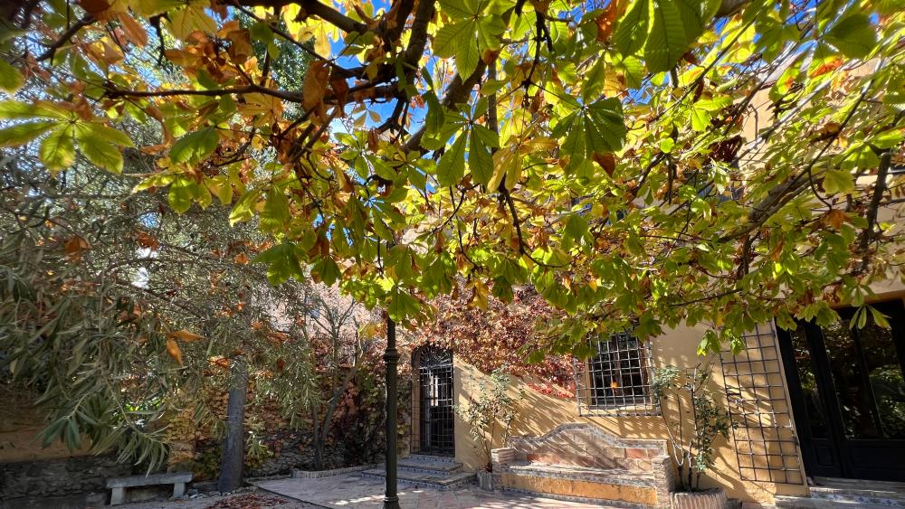  en venta chalet Biar Alt Vinalopó 19