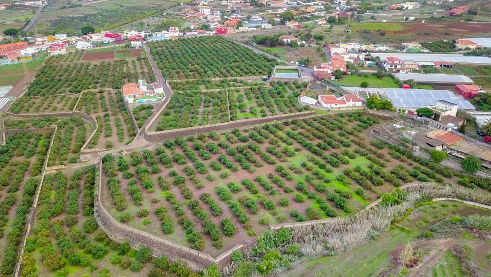  en venta finca rústica El Socorro Zona Metropolitana 9