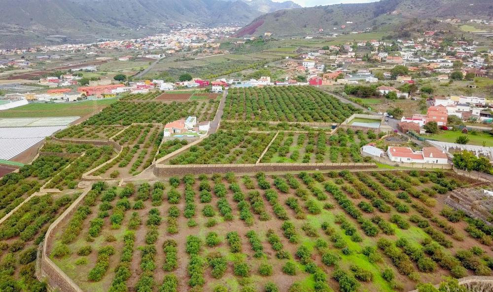  en venta finca rústica El Socorro Zona Metropolitana 7