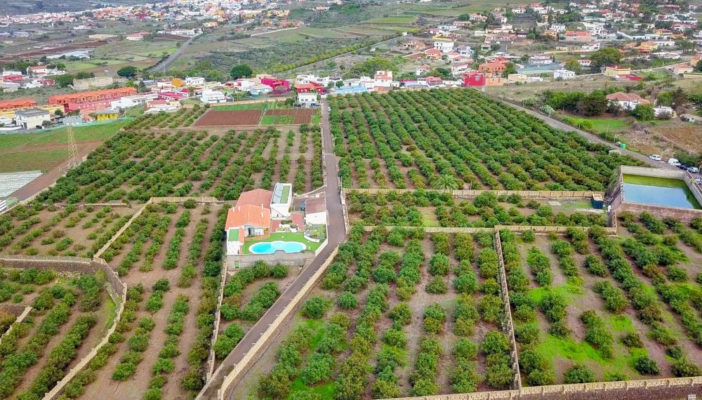  en venta finca rústica El Socorro Zona Metropolitana 11
