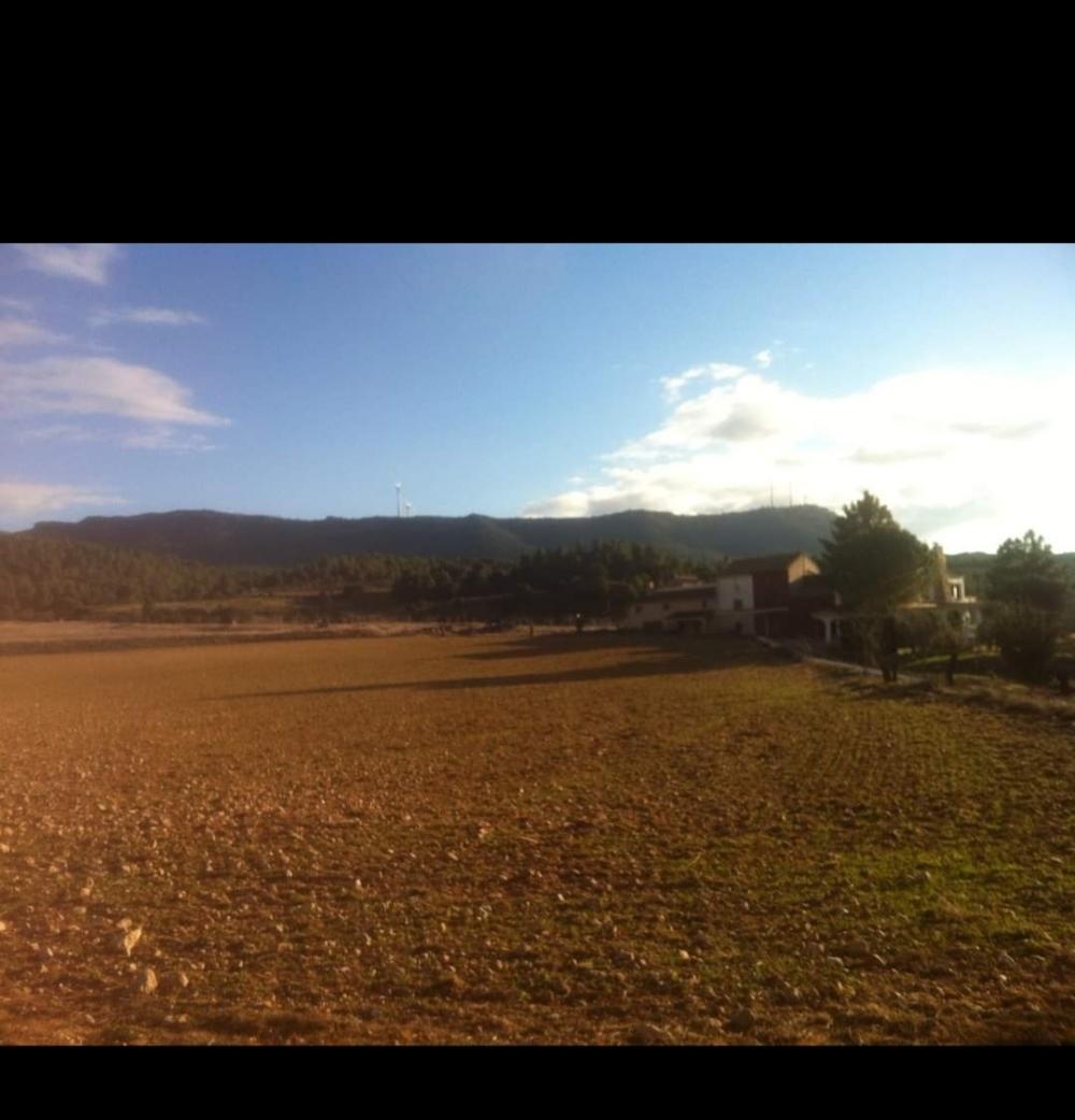  en venta finca rústica Ayora Valle De Ayora 1