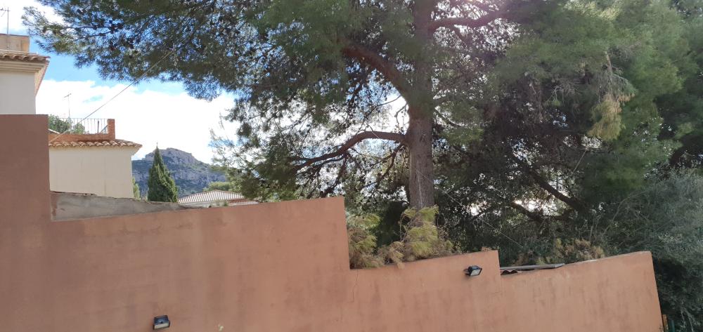  en venta chalet Benicasim Plana Alta 51