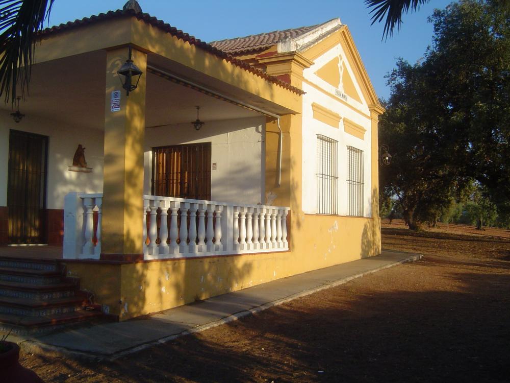  en venta finca rústica Almendralejo Tierra De Barros 3