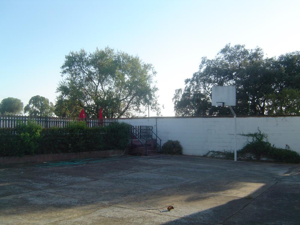  en venta finca rústica Almendralejo Tierra De Barros 6