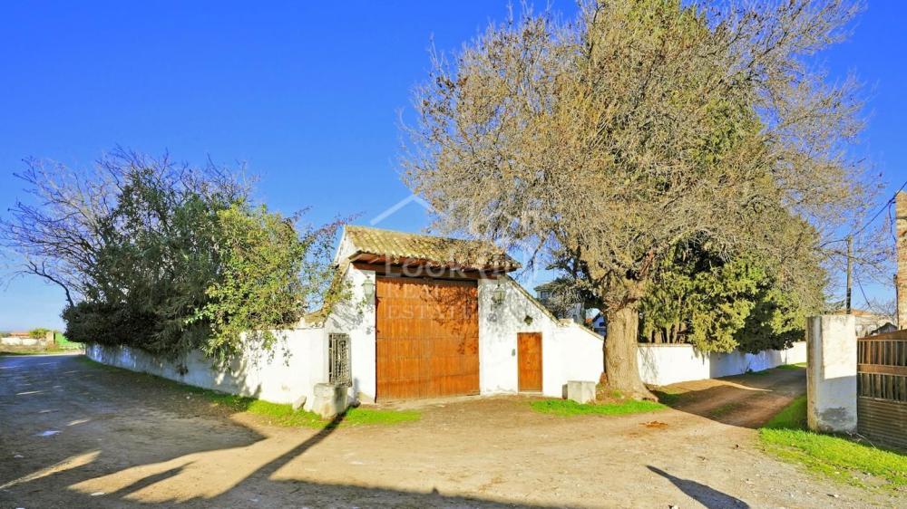  en venta finca rústica Ronda Vega De Granada 4