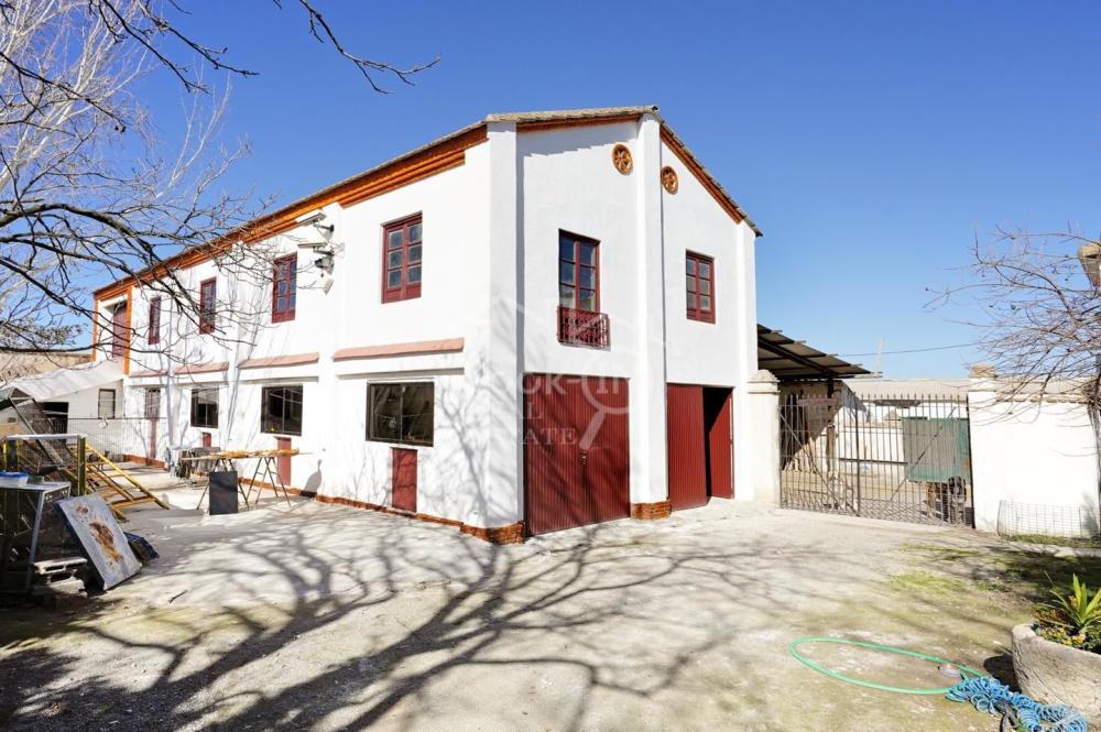  en venta finca rústica Ronda Vega De Granada 38